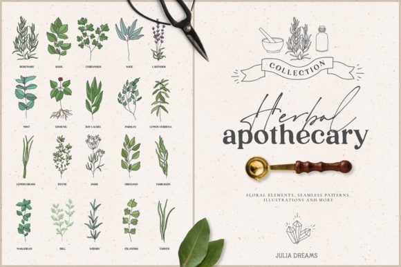 Herbal Apothecary Collection: A Botanical Resource for Creatives
