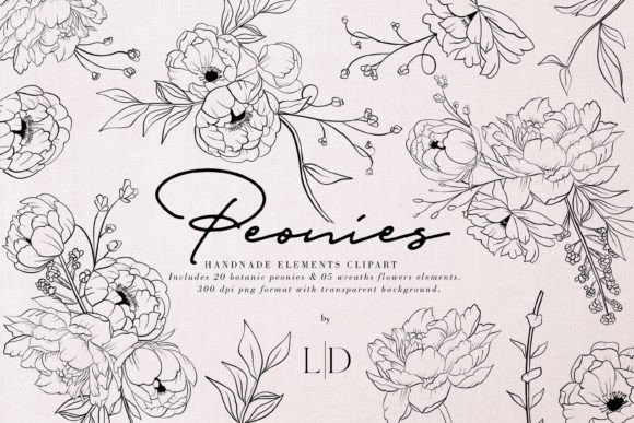 Peony Illustration Set for Creative Projects