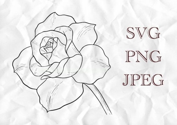 Rose Flower Outline Vector Illustration
