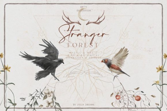 Stranger Forest Collection: A Fusion of Magic, Botanical Elegance, and Modern Design