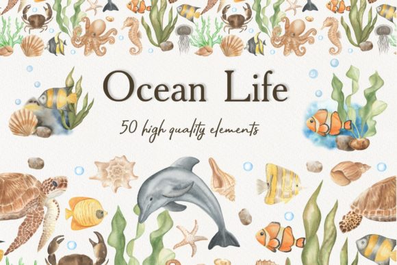 Watercolor Ocean Life: A Creative Resource for Designers and Artists