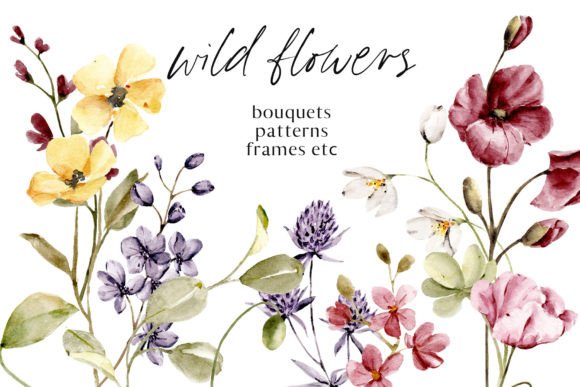 Wild Flowers and Poppies Watercolor Set: A Creative Resource for Designers and Artists